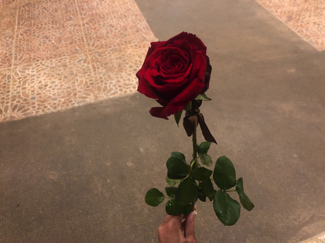 ドバイのバブアルシャムスデザートリゾートアンドスパでもらった赤いバラ
