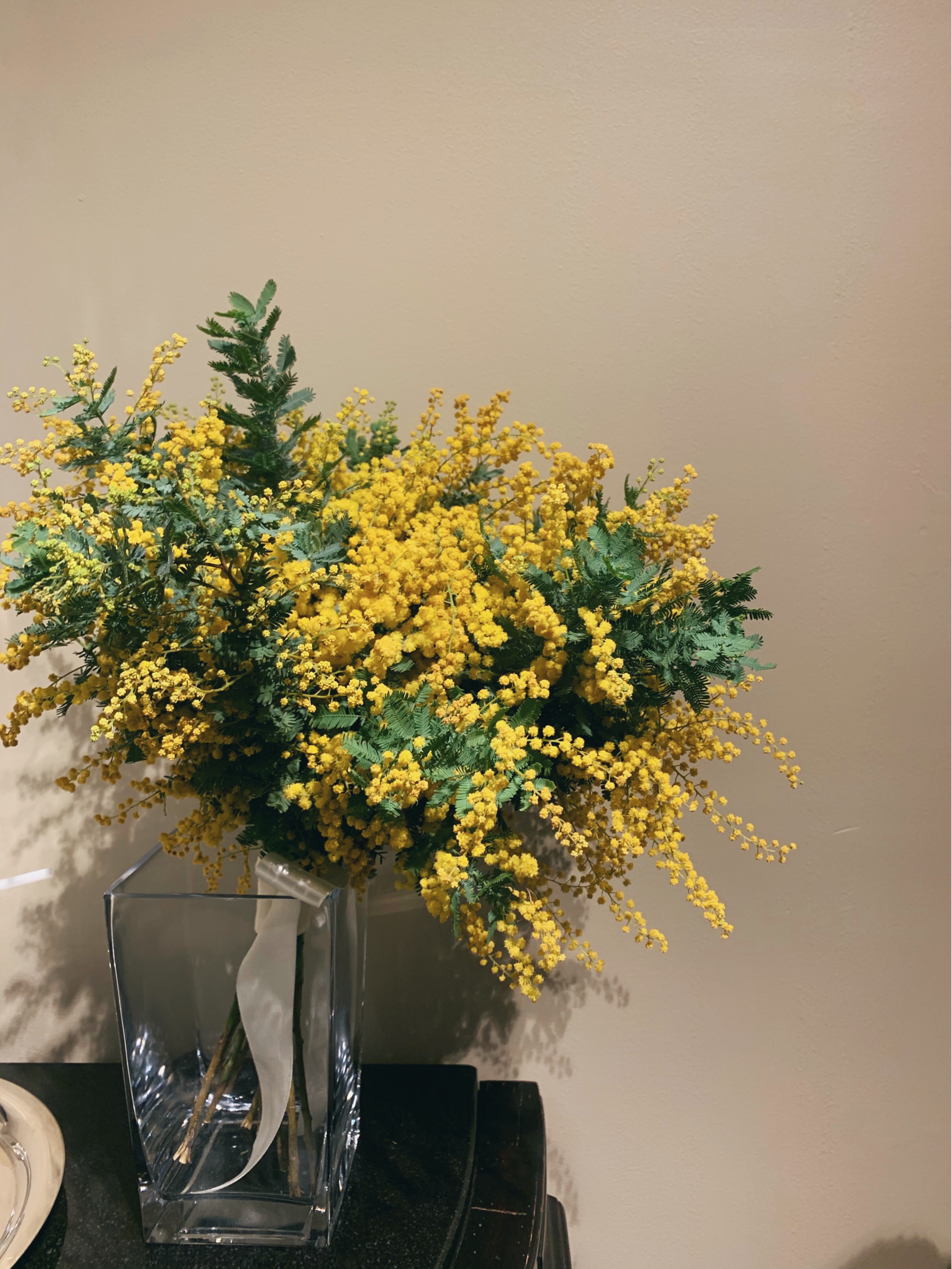 花瓶に飾られたミモザのフリー写真素材