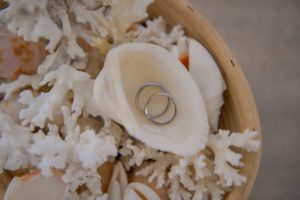 貝殻の中に入っている結婚指輪のフリー写真素材